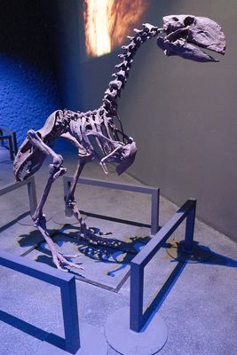 IMG_9814.jpg