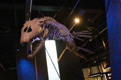 IMG_9815.jpg