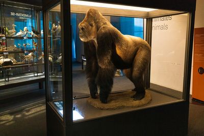Museu de Ciencies Naturals