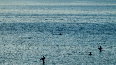 DSCF8538.jpg