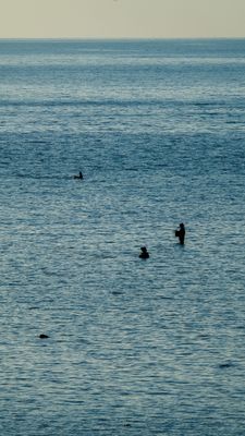 DSCF8541.jpg