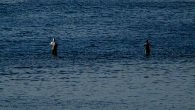 DSCF8553.jpg