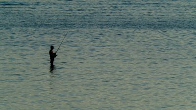 DSCF8571.jpg