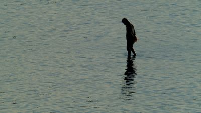 DSCF8574.jpg