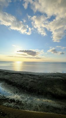 DSCF8595.jpg
