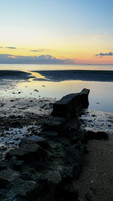 DSCF8658.jpg