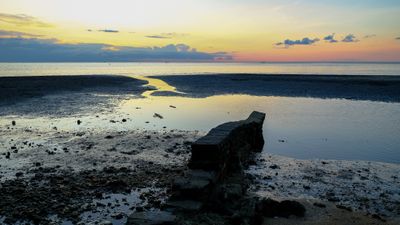 DSCF8661.jpg