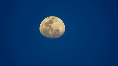 DSCF8697.jpg