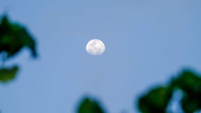 DSCF8703.jpg