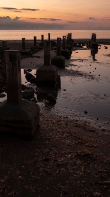 DSCF8736.jpg