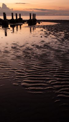 DSCF8791.jpg