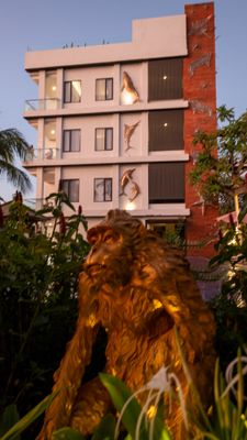 DSCF8818.jpg