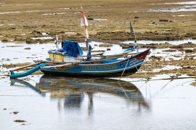 DSCF7110.jpg