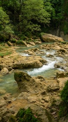 DSCF7717.jpg