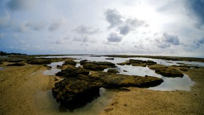 DSCF7802.jpg