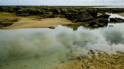 DSCF7817.jpg