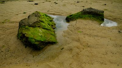 DSCF7832.jpg