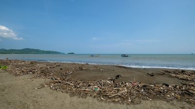 DSCF7930.jpg
