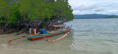 IMG_20240615_104443.jpg