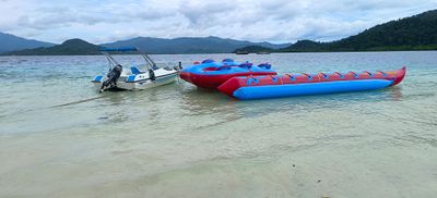 IMG_20240615_110231.jpg