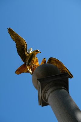 DSCF2595.jpg
