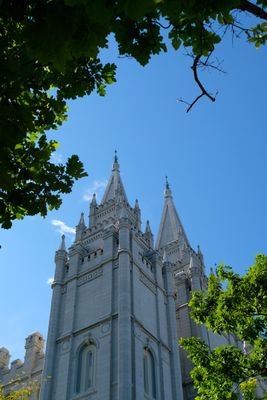 DSCF2614.jpg