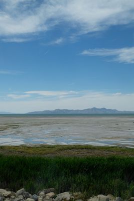 DSCF2928.jpg