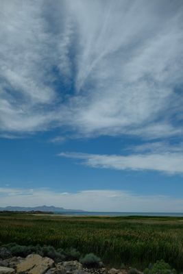DSCF2937.jpg