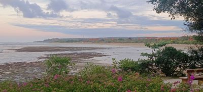 IMG_20240626_063524.jpg