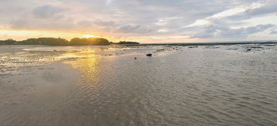 IMG_20240630_145818.jpg
