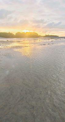 IMG_20240630_145856.jpg