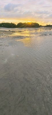 IMG_20240630_145915.jpg