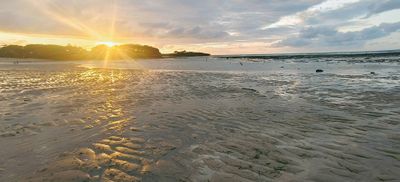 IMG_20240630_145947.jpg