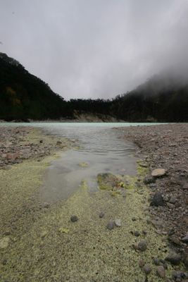 IMG_9342.jpg