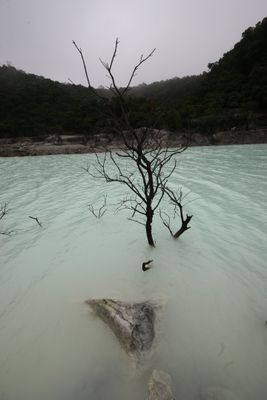 IMG_9358.jpg