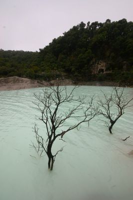 IMG_9359.jpg