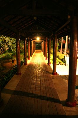 IMG_2219edit.jpg