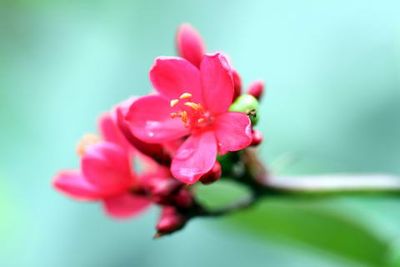 IMG_1401_exposure_resize.JPG