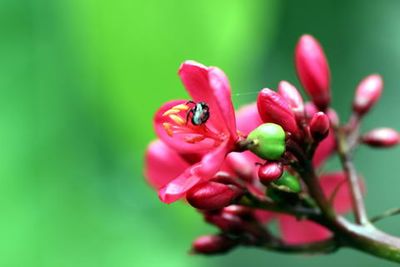 IMG_1404_exposure_resize.JPG