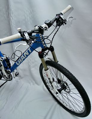 Giant Anthem X2 (16).JPG