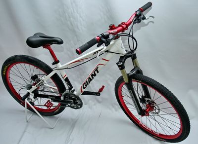 Giant Red White build (17).JPG