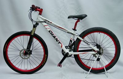 Giant Red White build (2).JPG