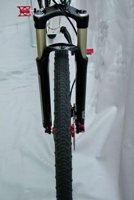 Giant Red White build (22).JPG