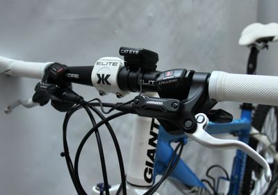 Giant Terrago (10).jpg