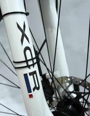 Giant Terrago (18).jpg