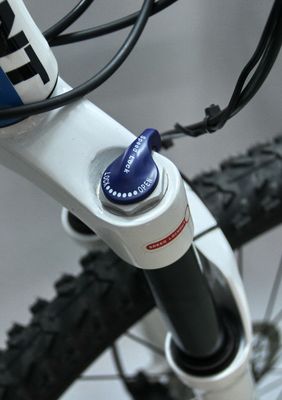 Giant Terrago (19).jpg