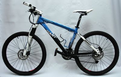 Giant Terrago (2).jpg