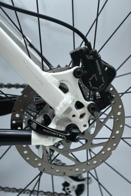 Giant Terrago Upgrade (10).JPG