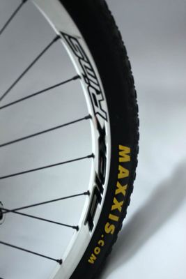 Giant Terrago Upgrade (12).JPG