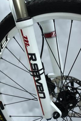 Giant Terrago Upgrade (13).JPG